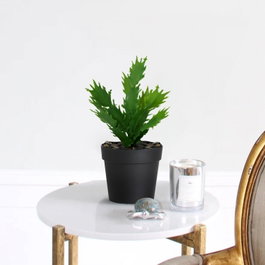 Aberto Design Maceta Decorativa Negro y Verde